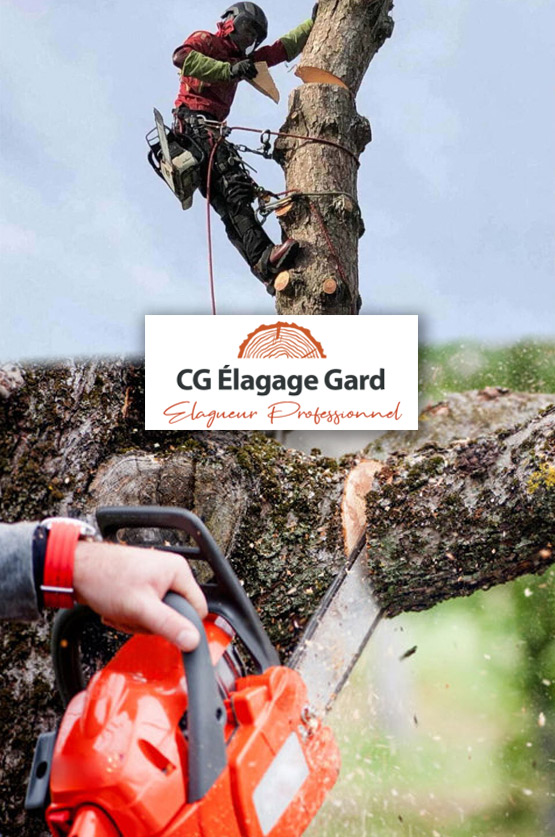 Techniques de tailles spéciales employées par CG Élagage